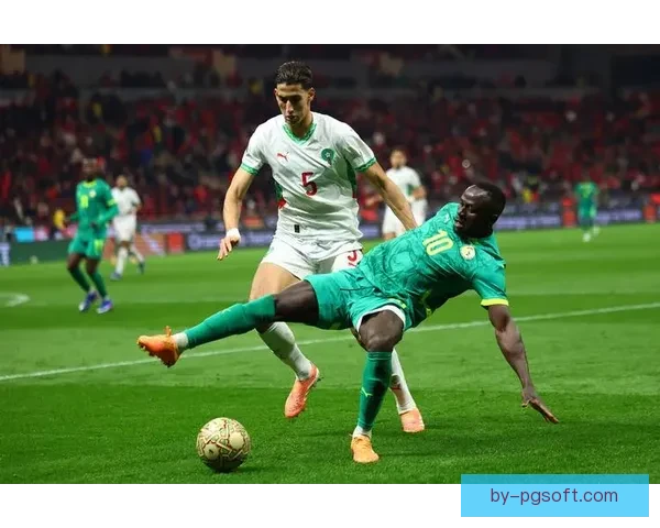 2025年非洲杯将于12月21日盛大开幕 掀起足球激情狂潮